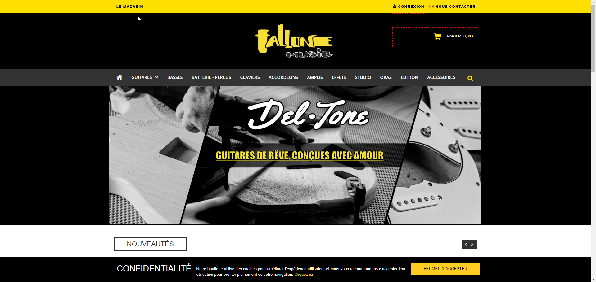 Fallonemusic | Magasin de musique à Dijon, Vente et Réparation d’instruments de musique